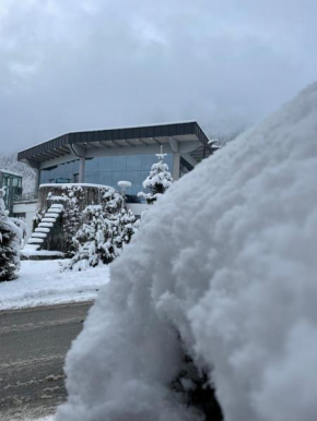 Chalet CityXPress Zell am See